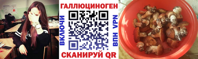 Галлюциногенные грибы ЛСД  как найти закладки  Кинель 